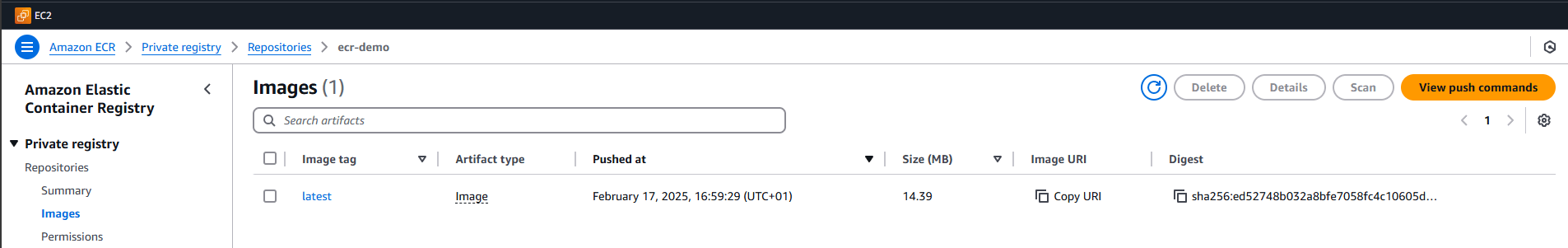 ECR Repository